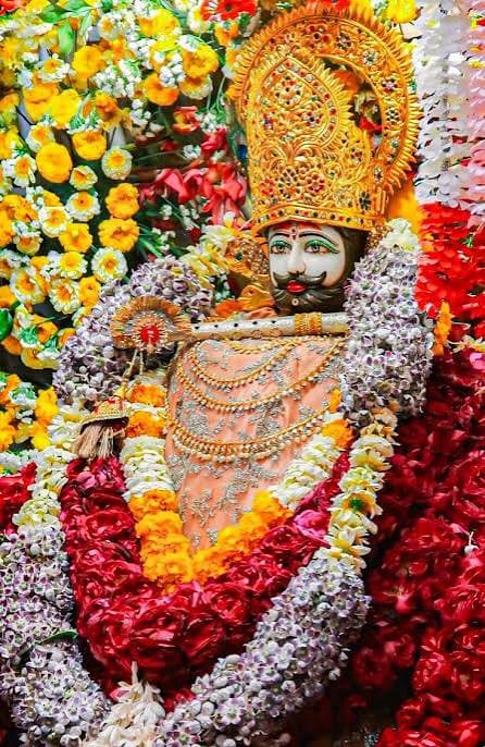 Khatu Shyam Ji Darshan Tour